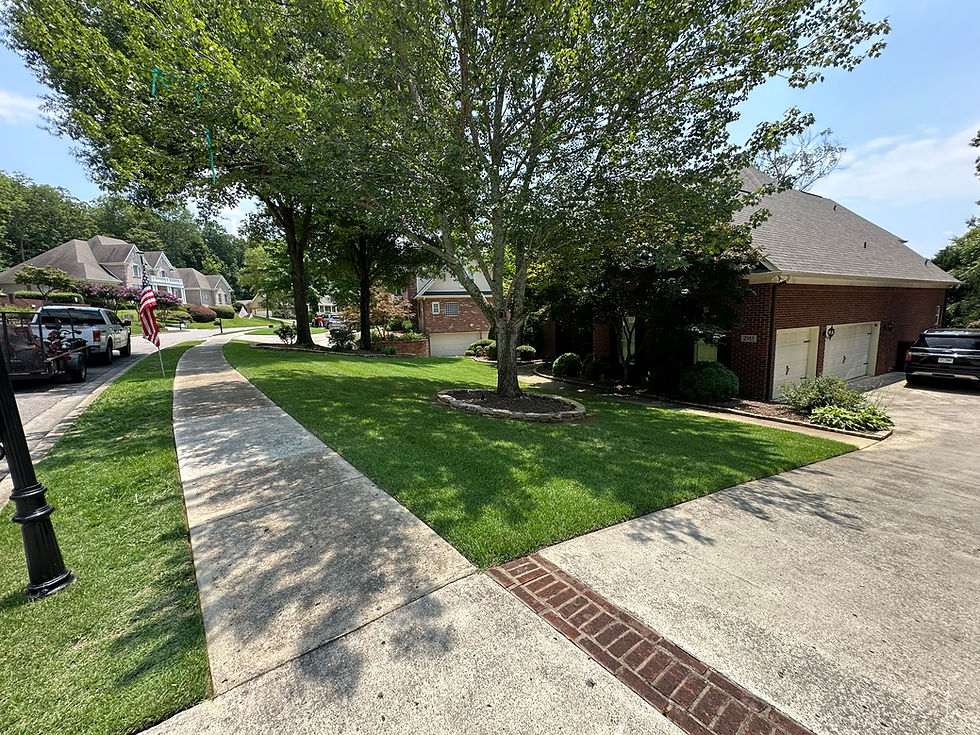Lawn Mowing Service in Huntsville, AL