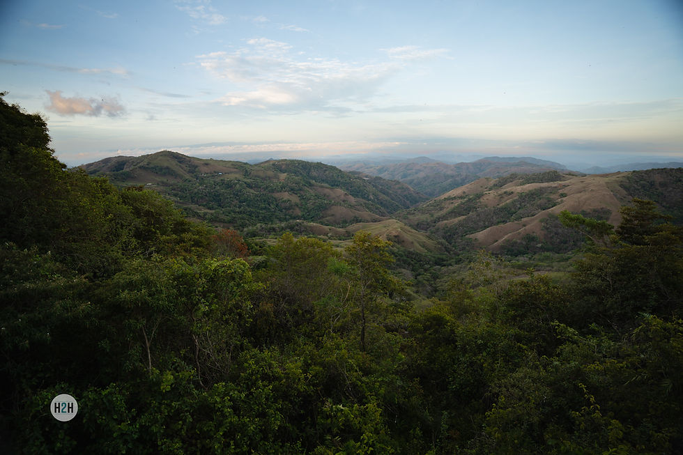 Santa Elena Cloud Forest Reserve