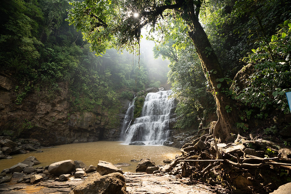 Nauyaca Waterfalls Cost Rica