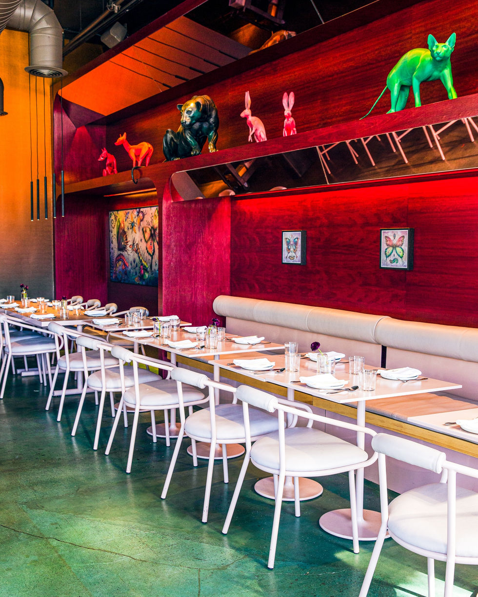 311084101_545642414231858_1317652034723057140_n