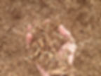 image00000283.jpeg
