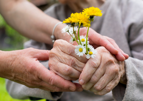 Navigating the Medicaid Application Process: Annuities as a Strategy