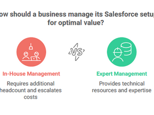 Master Salesforce & Maximise Value: Unlock True ROI with Vanguard Cloud Consulting Managed Services
