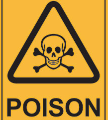 Lead Poisoning