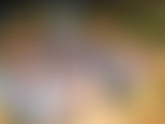 Confraternização Konstroi 2025