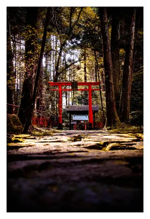 Japan_November_2023-Ishiyama-dera.webp