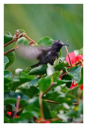 Seychelles_October2025-288