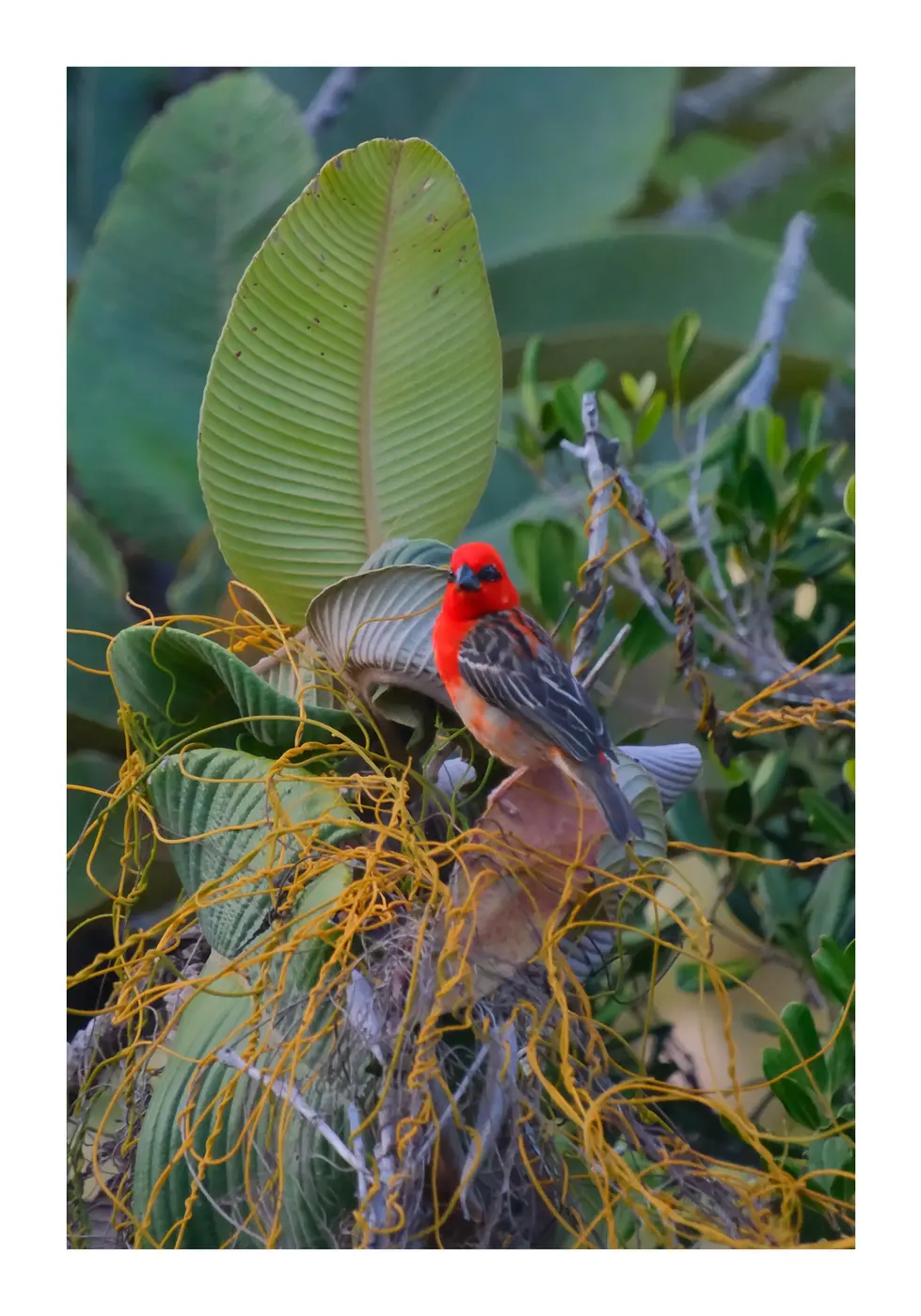 Seychelles_October2025-14