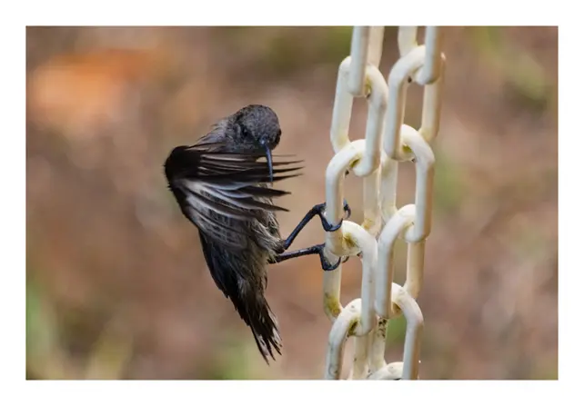 Seychelles_October2025-302