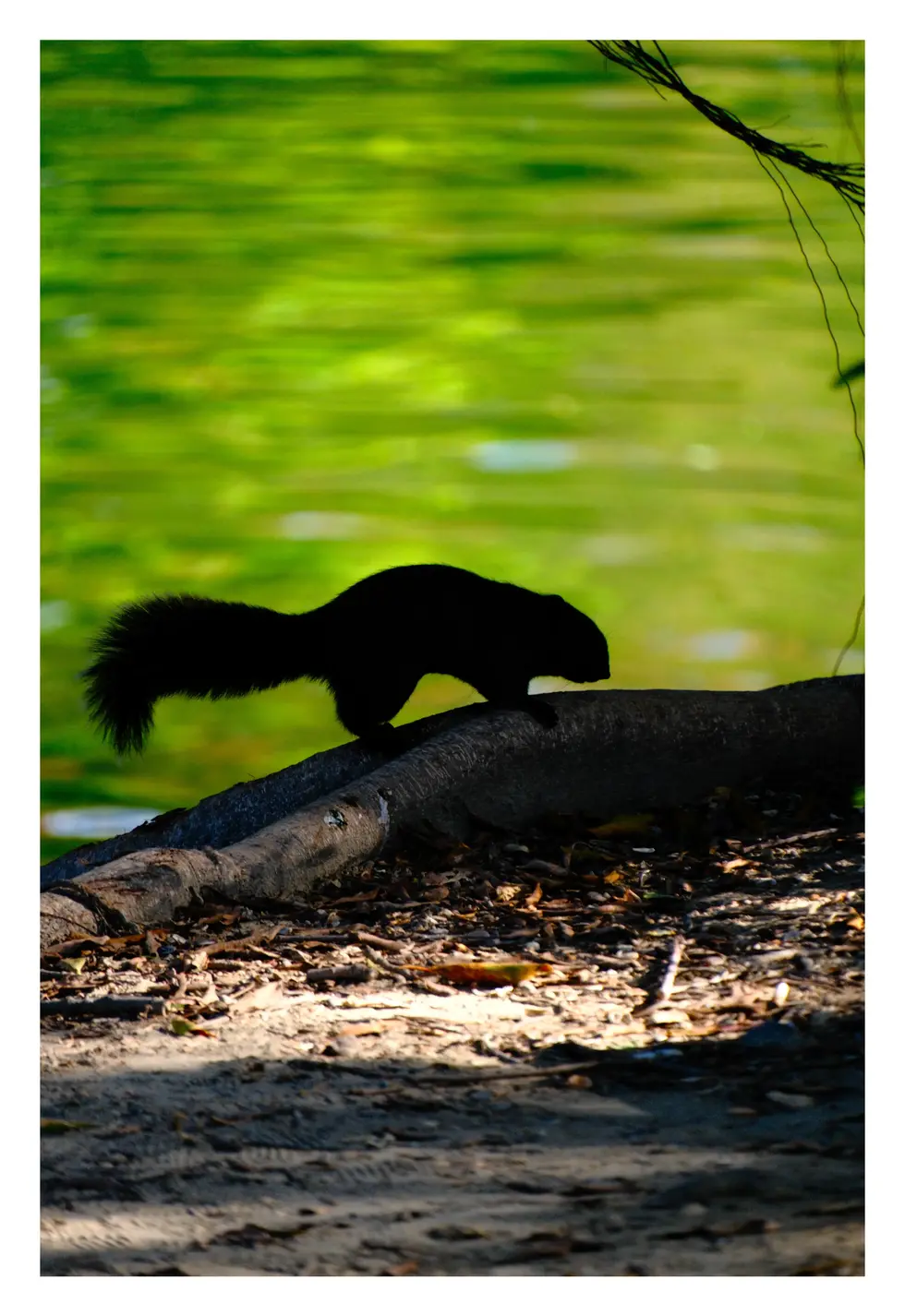 Shangaï-Taïwan_Naha_trip_DedJan25-26-12