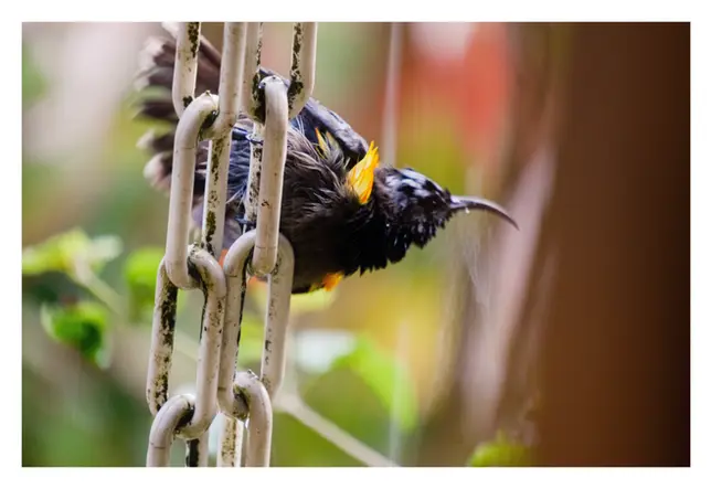 Seychelles_October2025-294