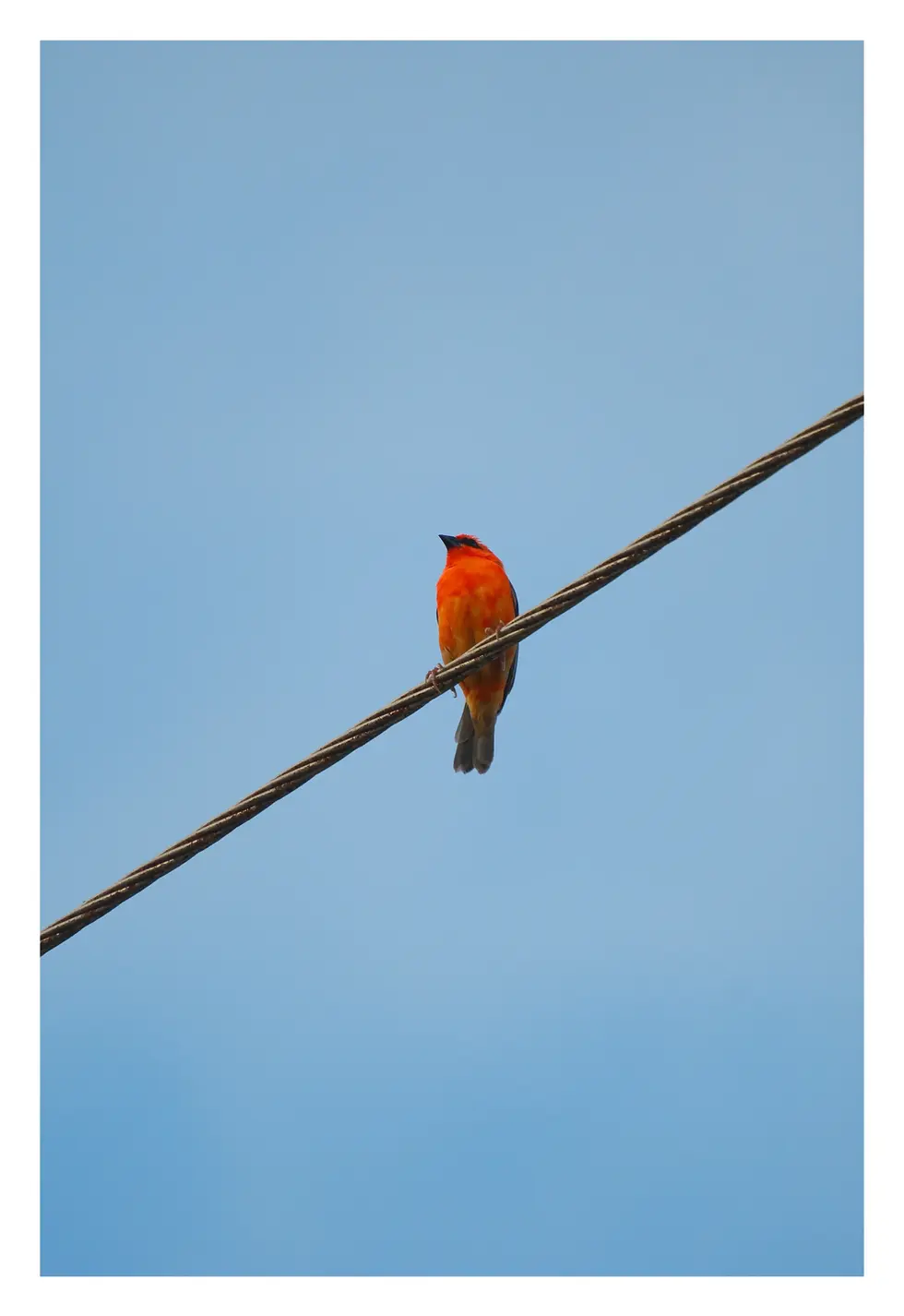 Seychelles_October2025-19