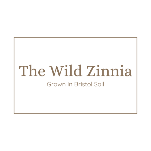 The Wild Zinnia