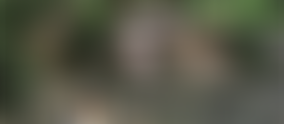 Quicksand Is A Clear And Present Danger