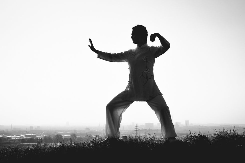 Tai Chi Move II