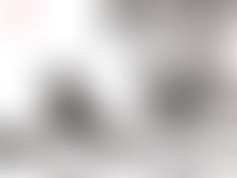 Homeschooling - Tiere 2