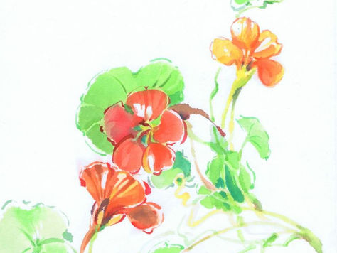 Homeschooling - Pflanzliches auf Japanpapier