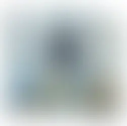 L'Impatto della Robotica e dell'AI sull'Economia Italiana