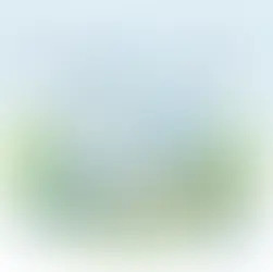 La rivoluzione del food tech