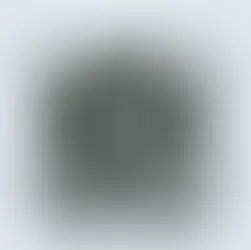 La Digitalizzazione del Patrimonio Culturale Italiano