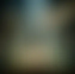 WhistlebloweR. la Trasparenza nell'Ambito delle Nuove Normative Italiane ed Europee