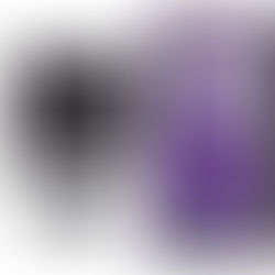 L'application "CAP SUR MON TITRE", pour simplifier les démarches de régularisation foncière !