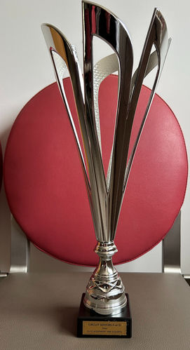 🏌️ La finale 🏌️♀️