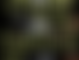 【お知らせ】Tokyo Tower Arts Festival Ⅵ