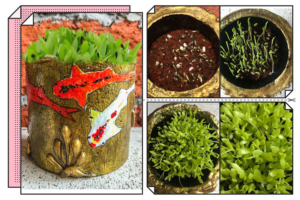 Thumbnail: Koi Fishes_Handmade Potted Plant DIY Set