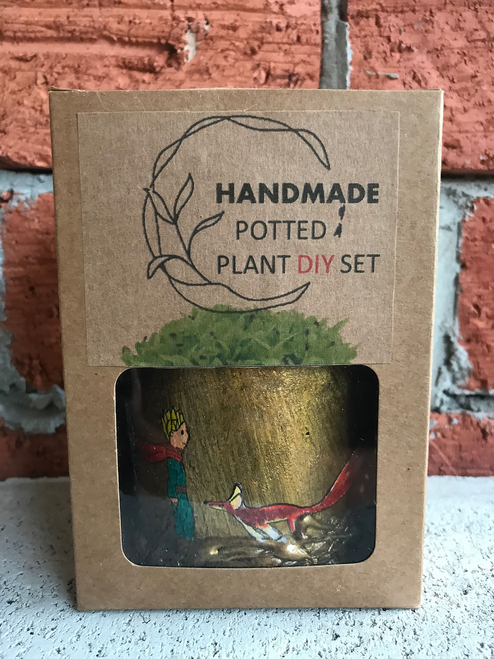 Thumbnail: A Little Prince Series 4_Handmade Potted Plant DIY Set