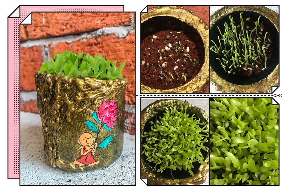 Thumbnail: Monk with Lotus_Handmade Potted Plant DIY Set