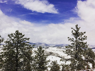 Wild Colorado