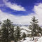 Wild Colorado