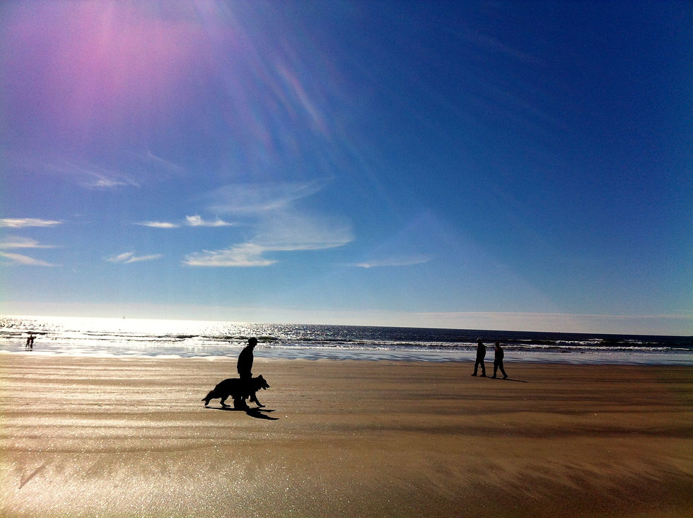 Popham Beach State Park