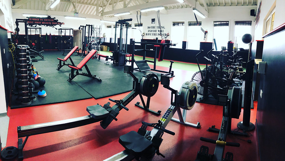 your next level fitness gym 2019.jpeg