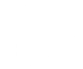 Asset 12_4x_white.png