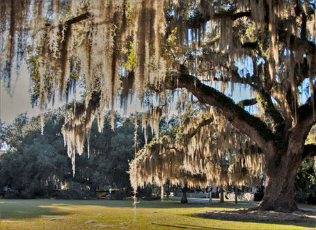Small Town We Love: Beaufort, South Carolina