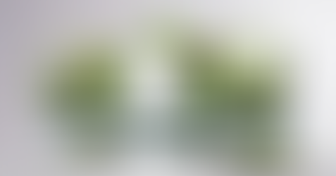 IZGORELOST - 7. del: Prehrana in življenjski stil, kot vzroki za izgorelost 