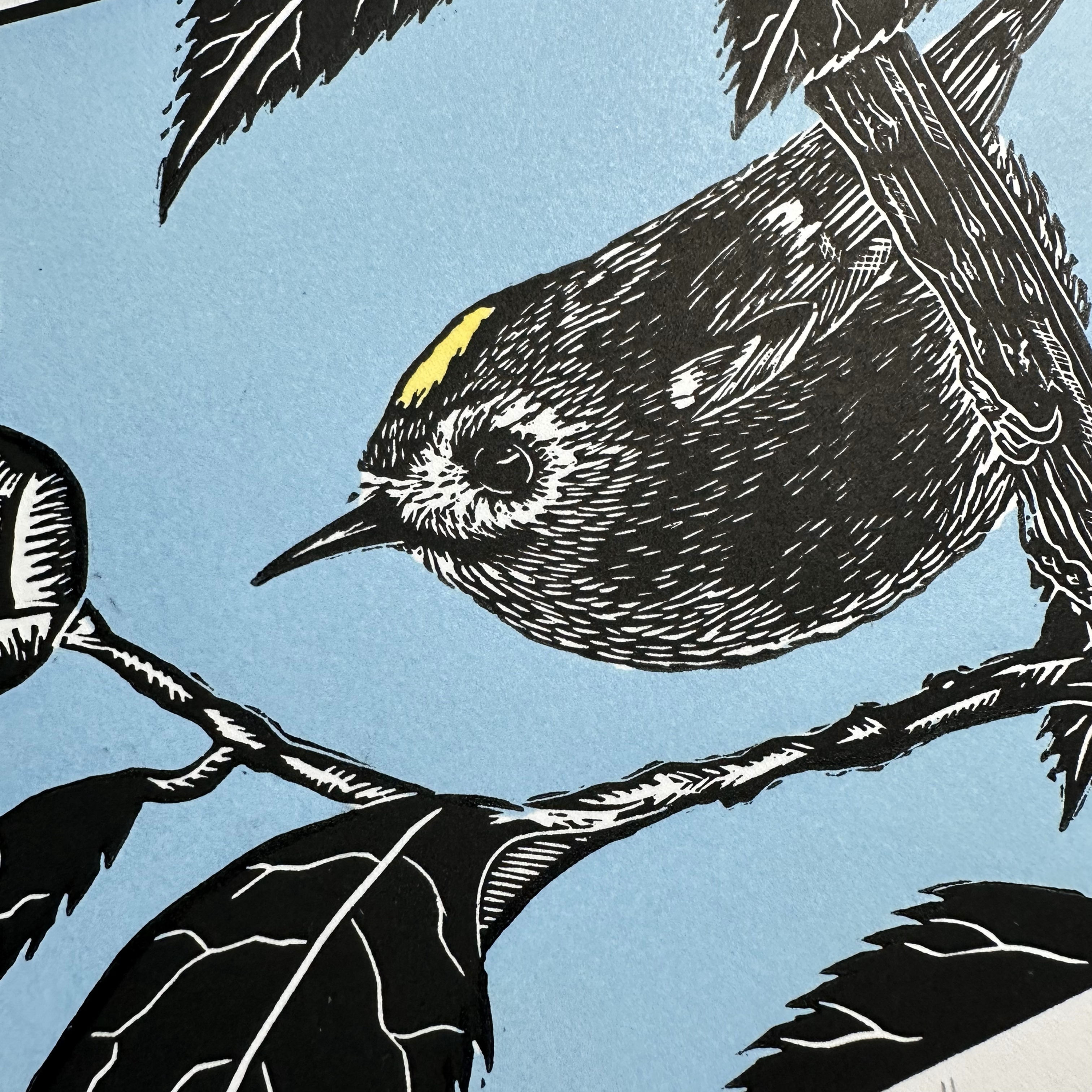 Goldcrest bird on camellia linocut print
