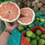 Hình thu nhỏ: Bưởi Da Xanh Hòa Bình