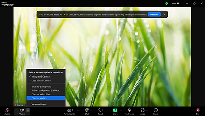 Screenshot 2024-11-09 172150.png