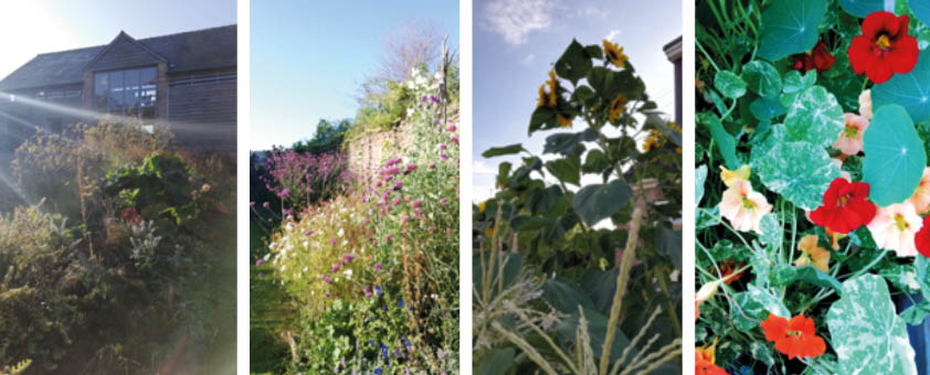 Lydia Bee images Twyford final