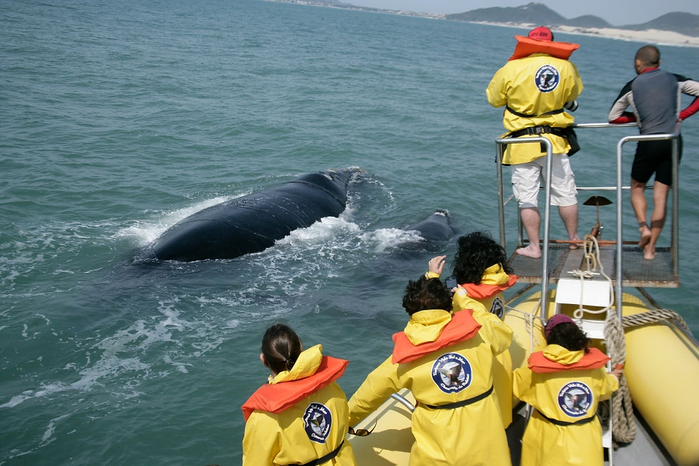 Turismo embarcado_1