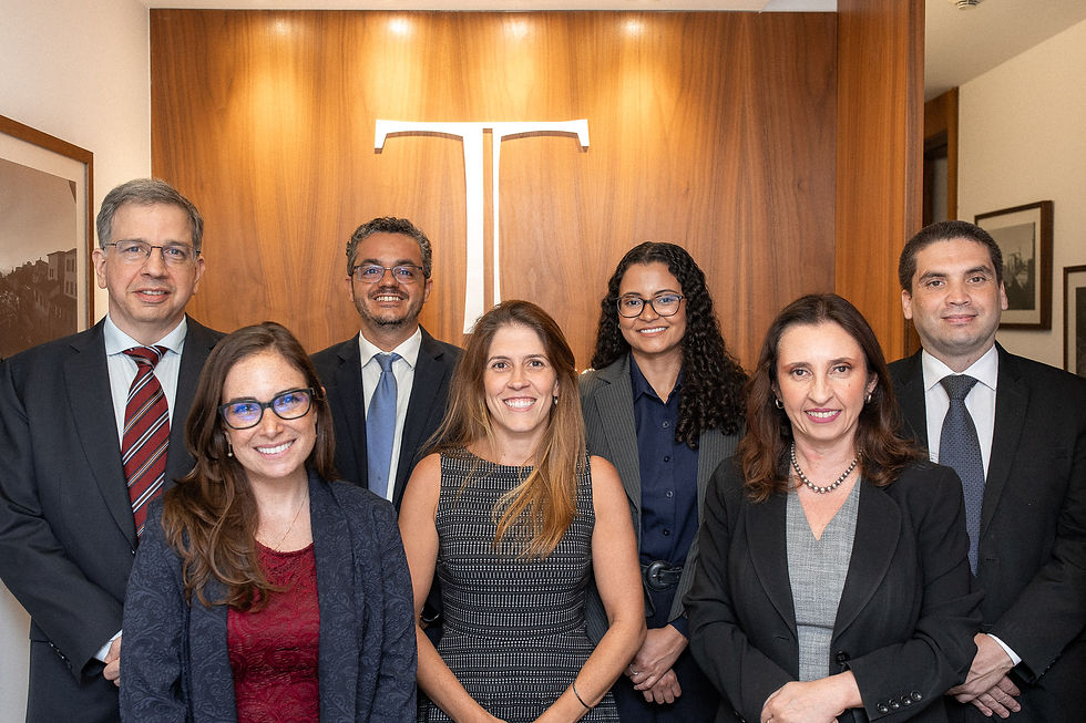 equipe tognetti advocacia