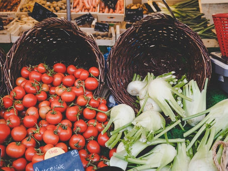 Organis no 14º Fórum Internacional da Produção Orgânica e Sustentável
