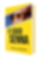 Livro "O Caso Senna" revisita julgamento histórico e expõe as falhas jurídicas e técnicas que marcaram o processo da morte de Ayrton Senna