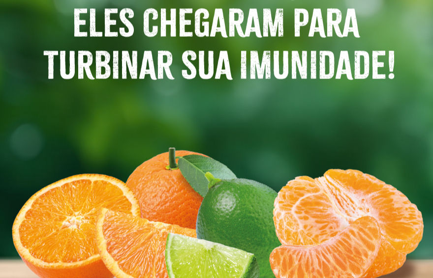 folder campanha citrus