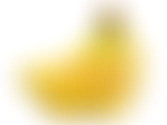 Inovação, visão de negócio a longo prazo e amor no que faz são pilares da Frutas Fava