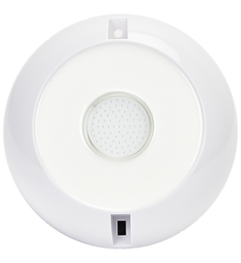 MiniP (2).png