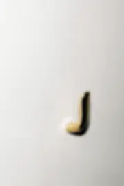 Spaces Within Iris Wall Hook Polished Brass